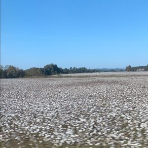 Meet your Posher, Candice